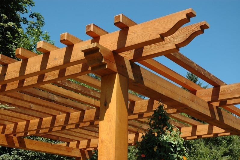 Timber Pergola